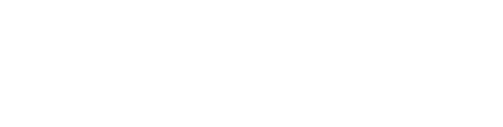 LeaderOne Financial Logo